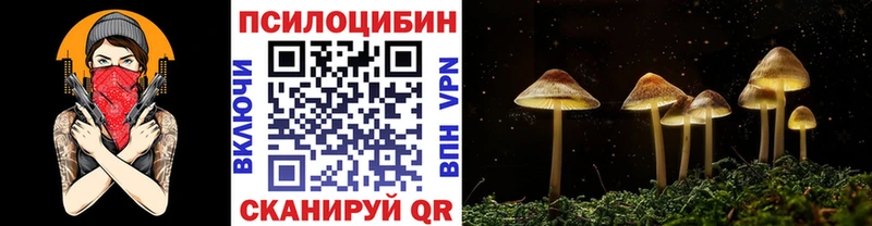 KRAKEN ссылка  Чаплыгин  Псилоцибиновые грибы мухоморы 