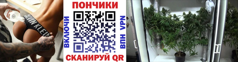 Марихуана планчик  Чаплыгин 